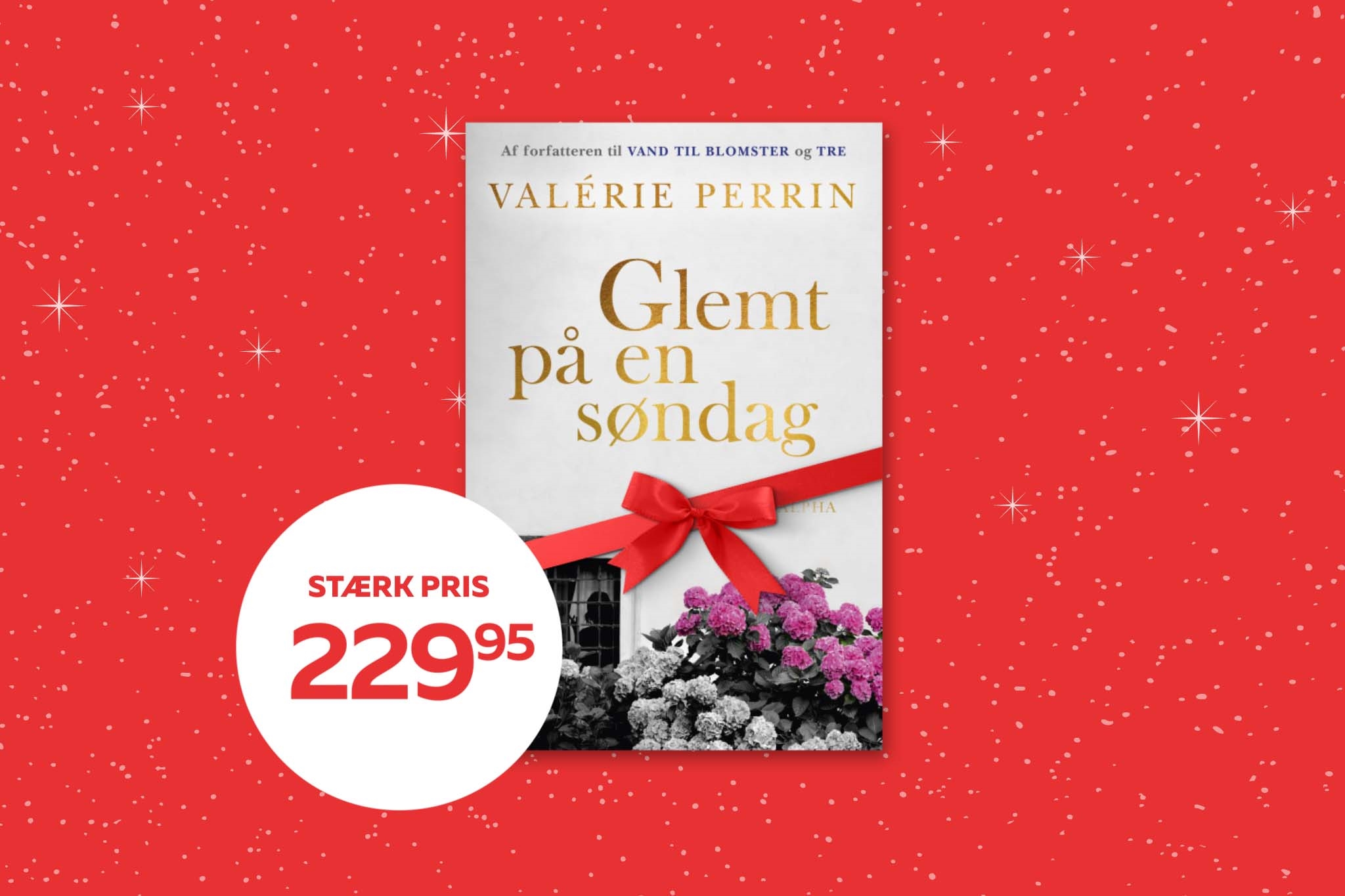 Glemt på en søndag af Valerie Perrin