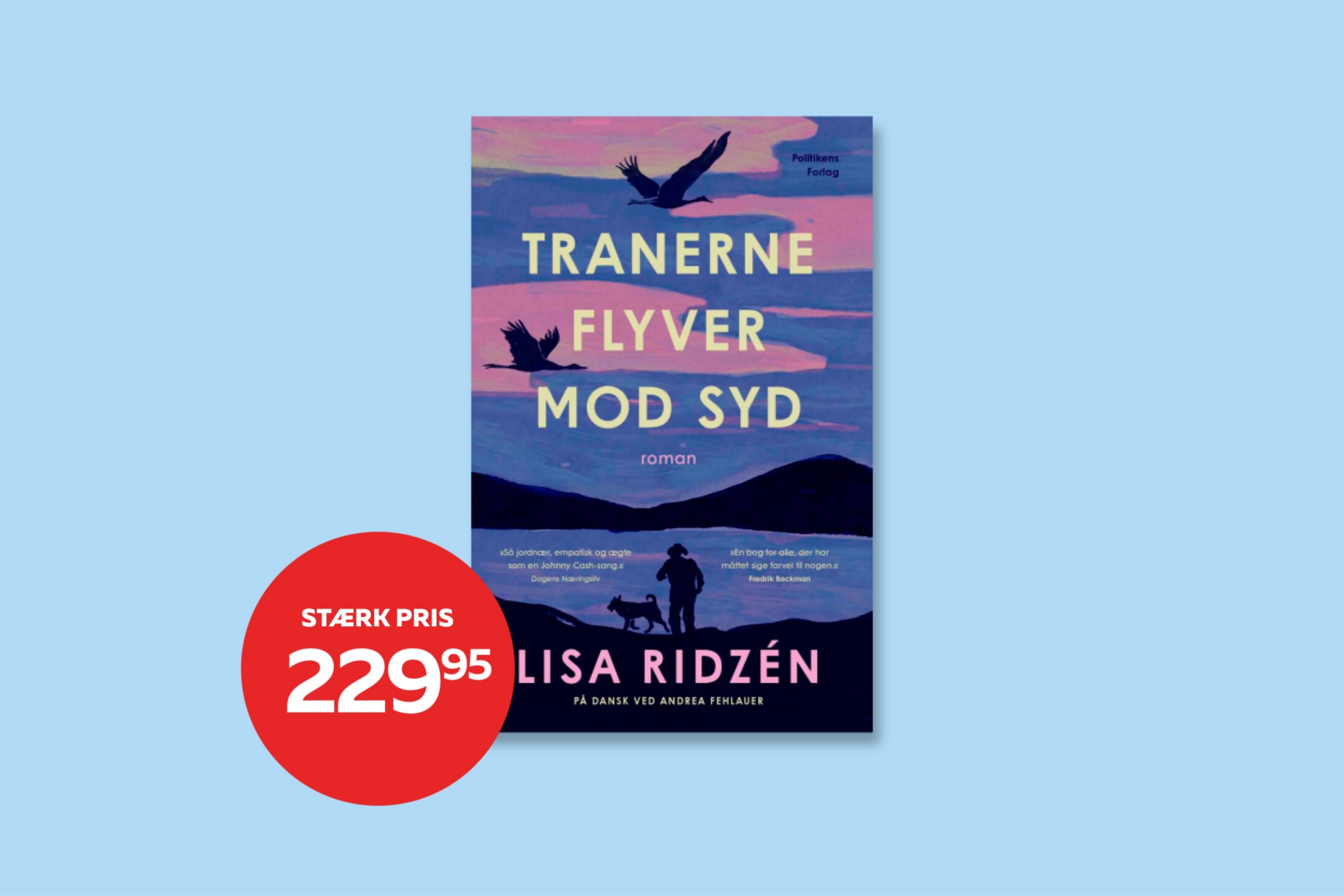 flyver mod syd