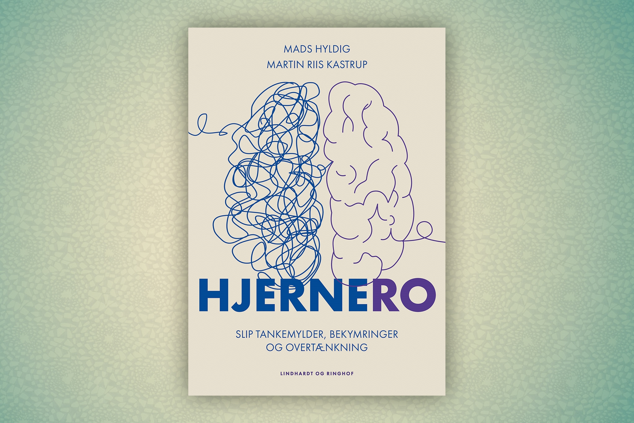 BogIde_fokus_Hjernero