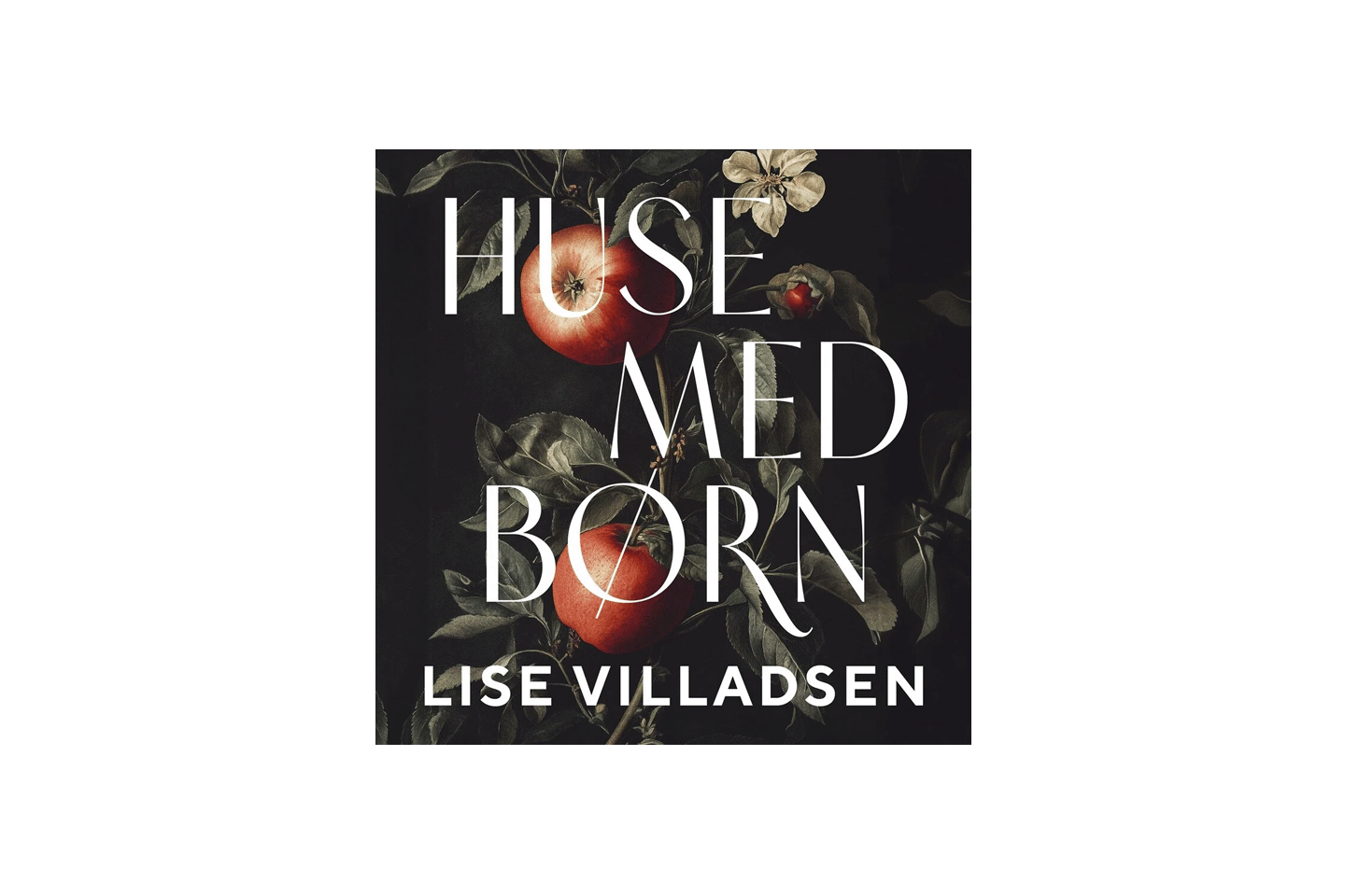 Huse med børn_streaming