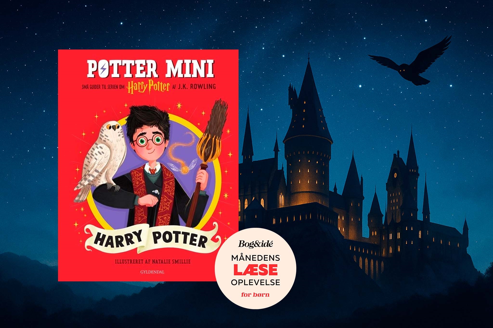 MLO barn_Harry Potter