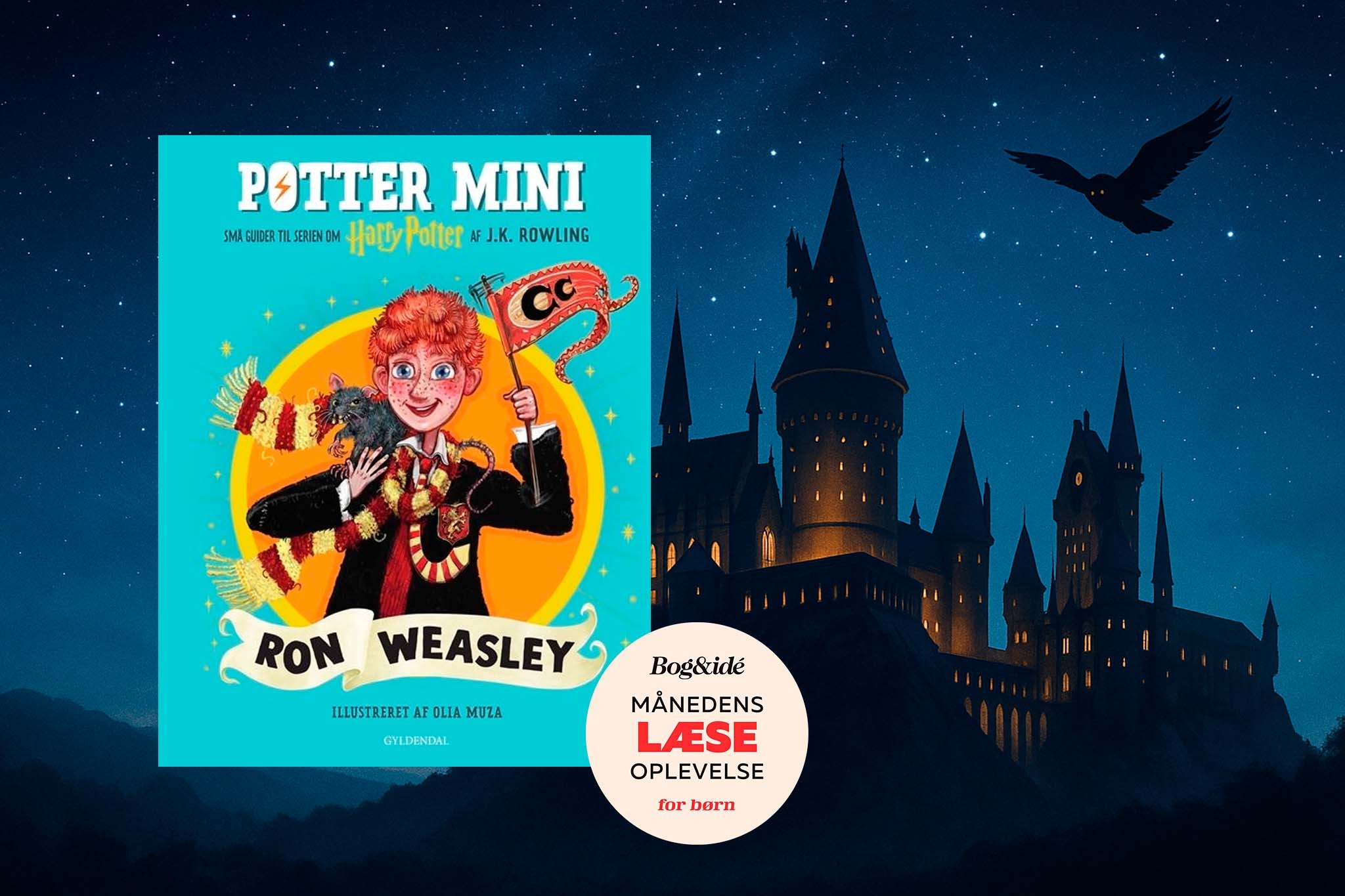 MLO barn_Ron Weasley