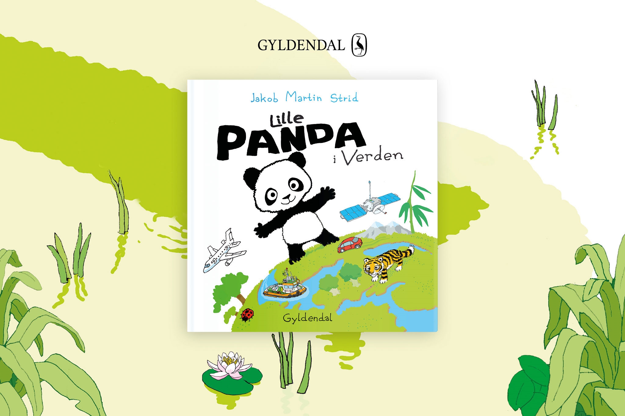 Strid lille panda i verden