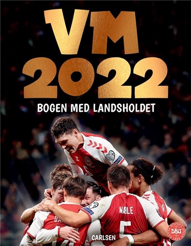 VM 2022 - bogen med herrelandsholdet